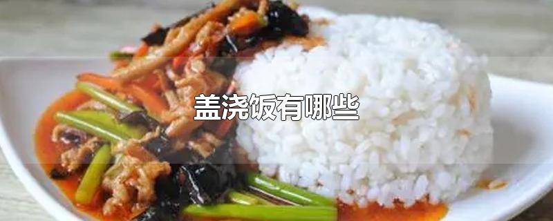 盖浇饭有哪些