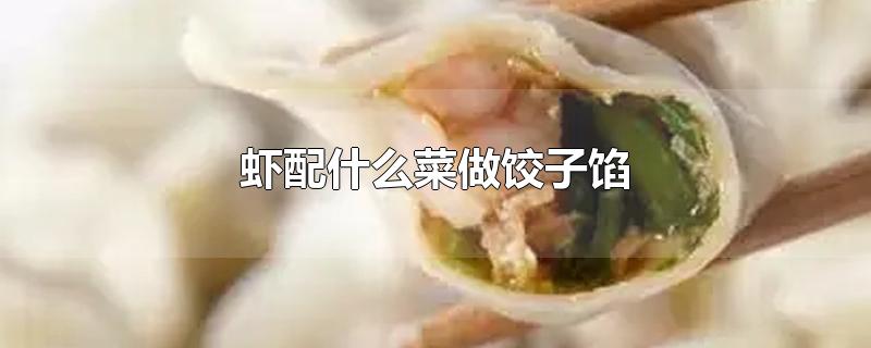 虾配什么菜做饺子馅