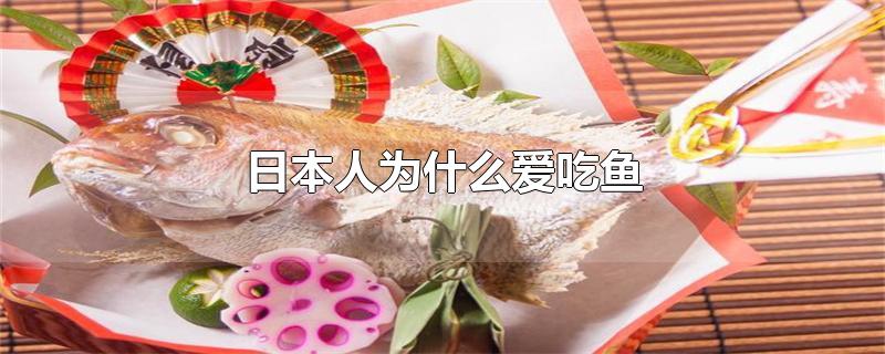 日本人为什么爱吃鱼