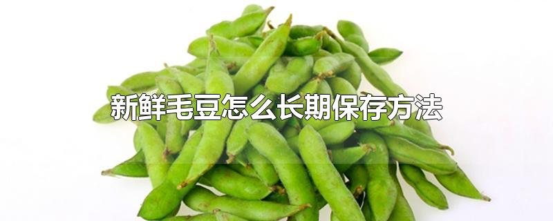 新鲜毛豆怎么长期保存方法