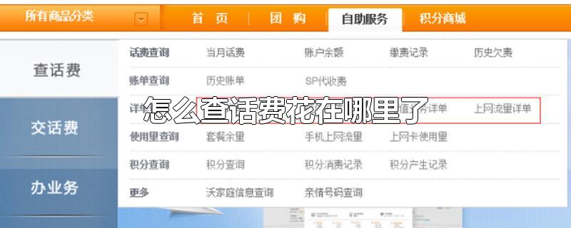 怎么查话费花在哪里了
