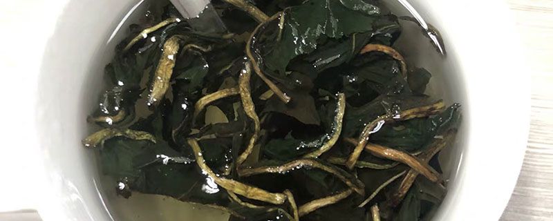 新茶放冷冻还是冷藏