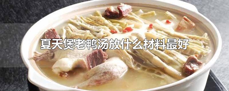 夏天煲老鸭汤放什么材料最好