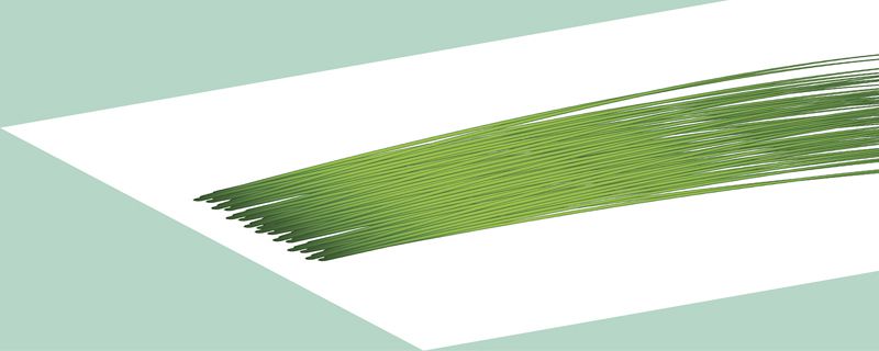 蒜苔怎么保存到冬天吃