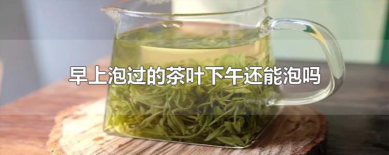 早上泡过的茶叶下午还能泡吗