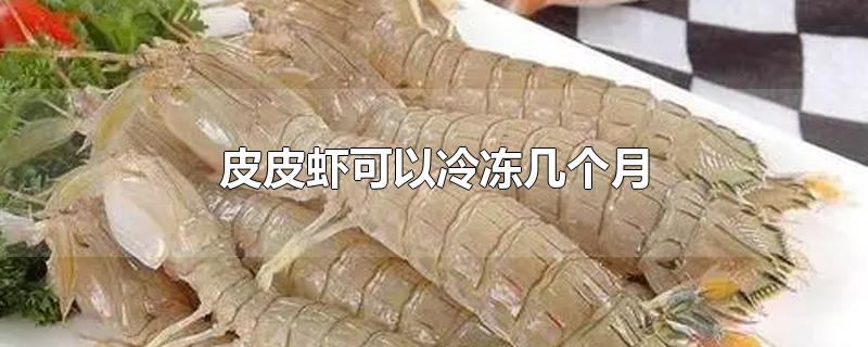 皮皮虾可以冷冻几个月