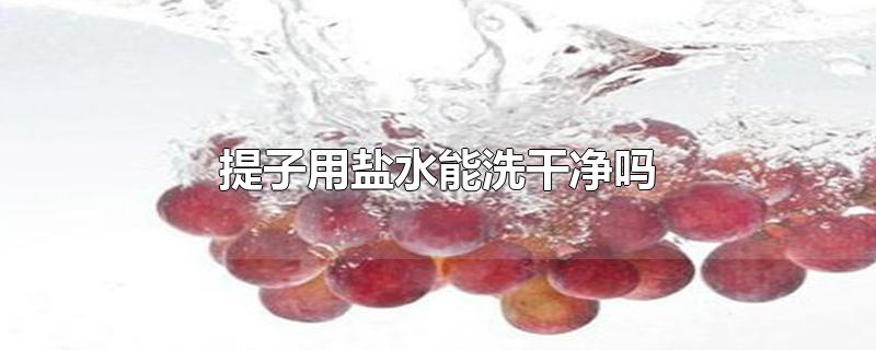 提子用盐水能洗干净吗