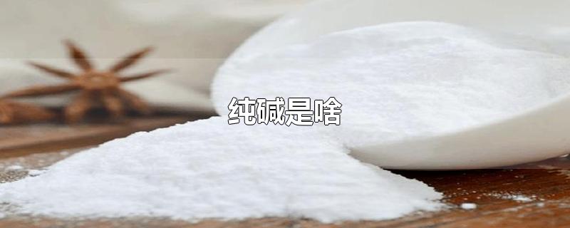 纯碱是啥