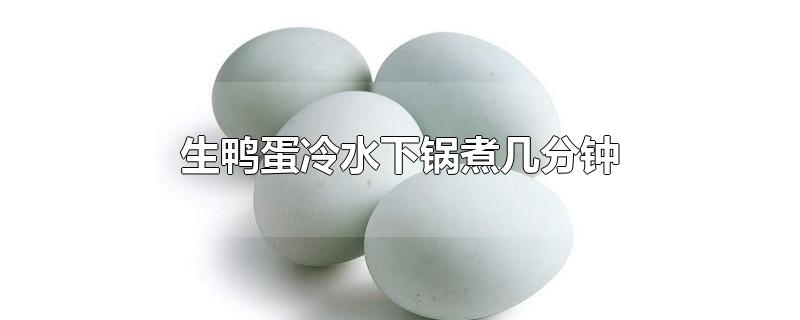 生鸭蛋冷水下锅煮几分钟