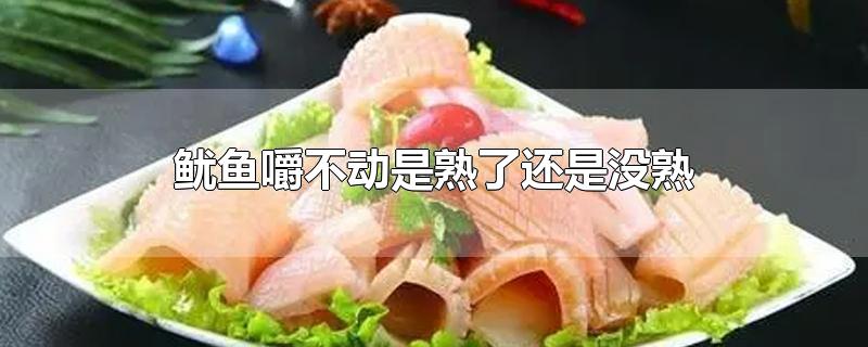 鱿鱼嚼不动是熟了还是没熟