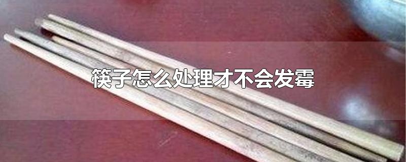 筷子怎么处理才不会发霉
