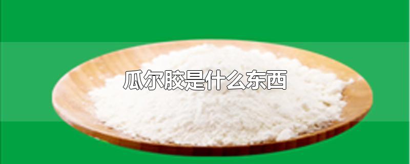 瓜尔胶是什么东西
