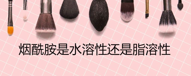 烟酰胺是水溶性还是脂溶性
