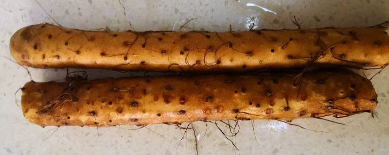 铁棍山药和小白嘴山药的区别