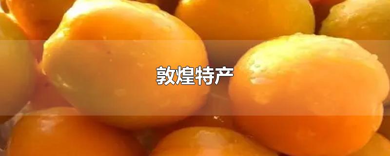 敦煌特产