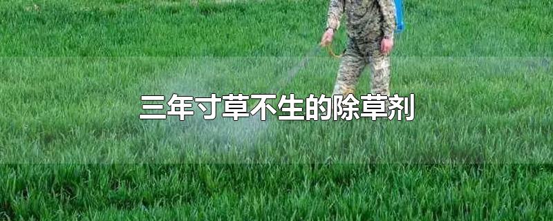 三年寸草不生的除草剂