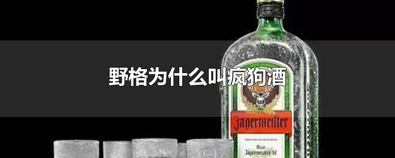 野格为什么叫疯狗酒