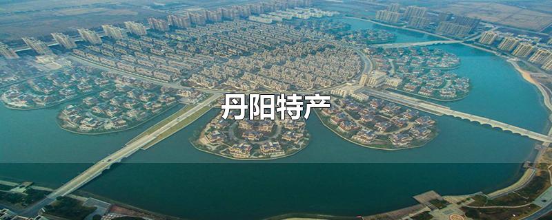 丹阳特产