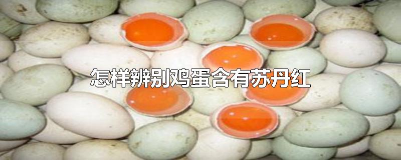 怎样辨别鸡蛋含有苏丹红