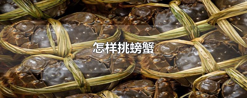 怎样挑螃蟹