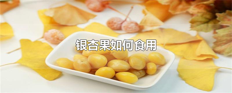 银杏果如何食用