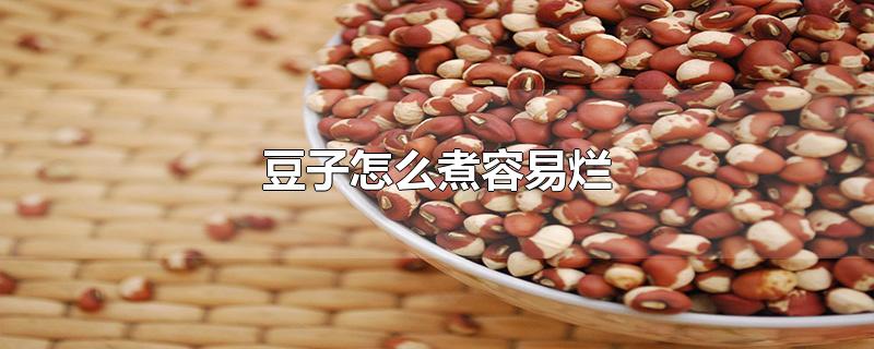 豆子怎么煮容易烂