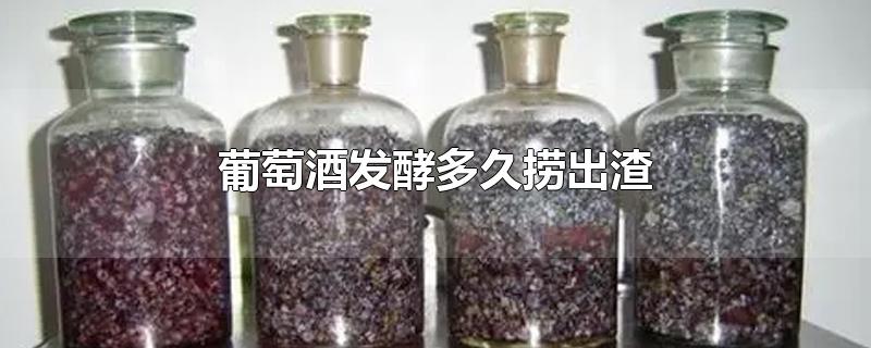 葡萄酒发酵多久捞出渣