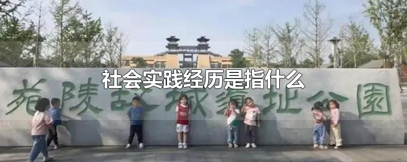 社会实践经历是指什么