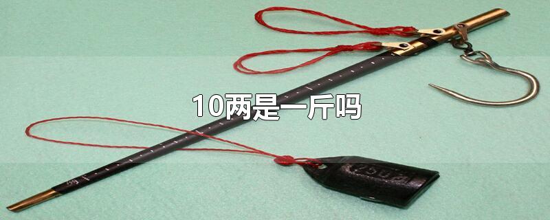 10两是一斤吗