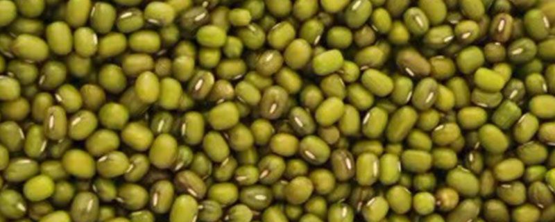 包粽子的绿豆怎样去皮