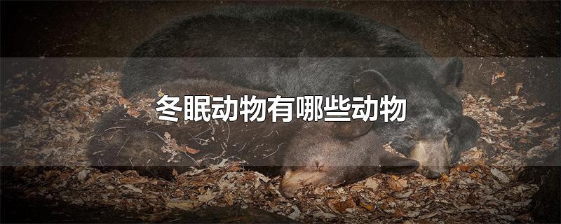 冬眠动物有哪些动物