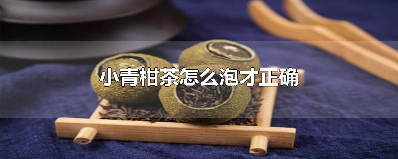 小青柑茶怎么泡才正确