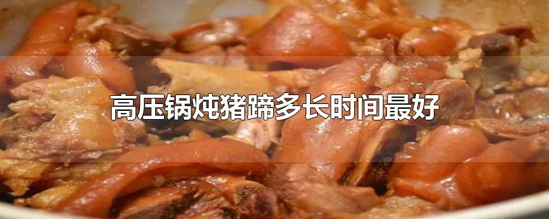 高压锅炖猪蹄多长时间最好