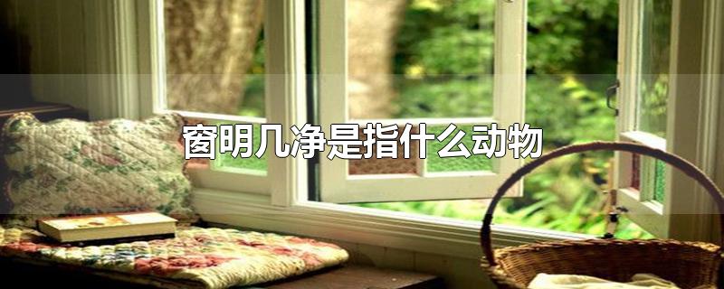 窗明几净是指什么动物