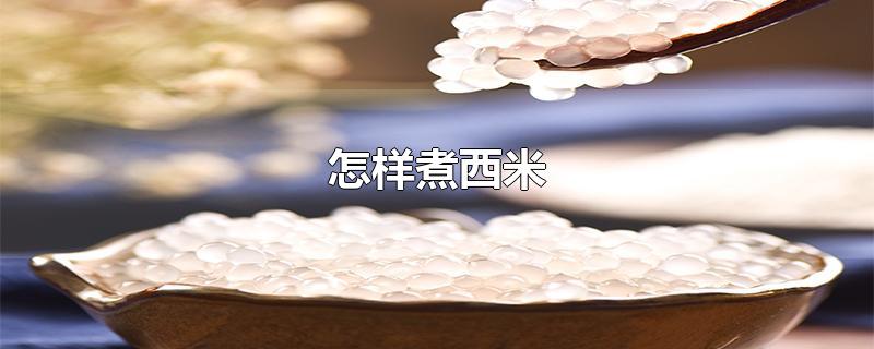 怎样煮西米