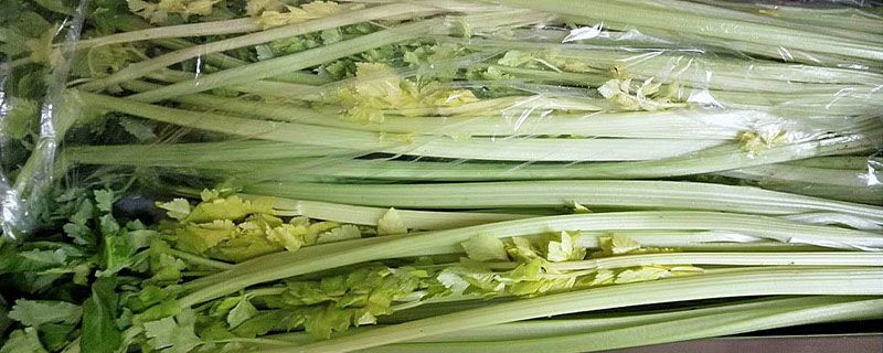 芹菜包饺子用不用烫一下