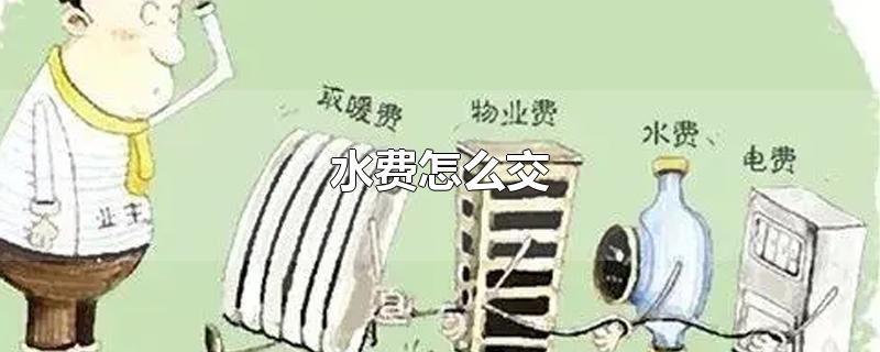 水费怎么交