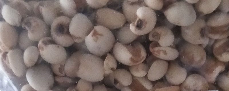 生芡实和熟芡实的区别