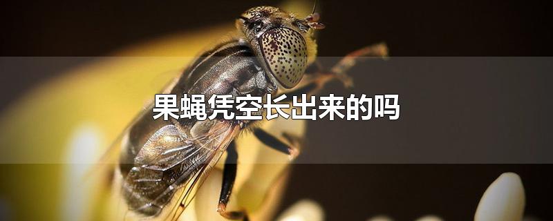 果蝇凭空长出来的吗