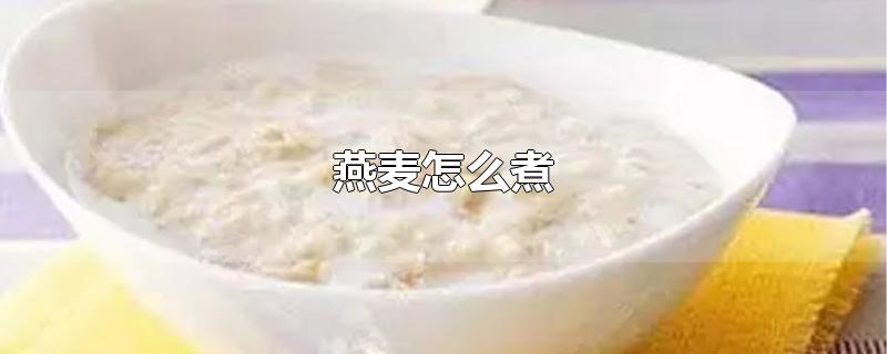 燕麦怎么煮