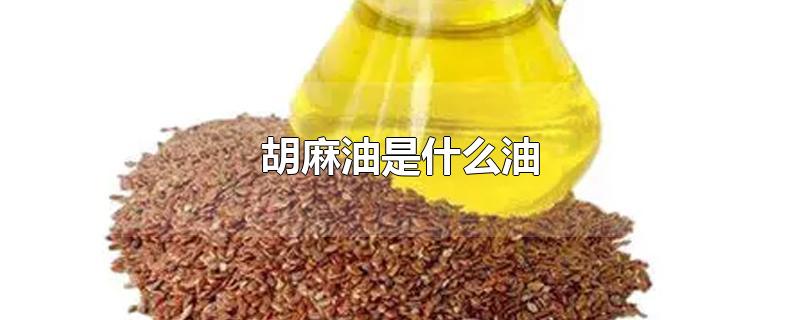 胡麻油是什么油