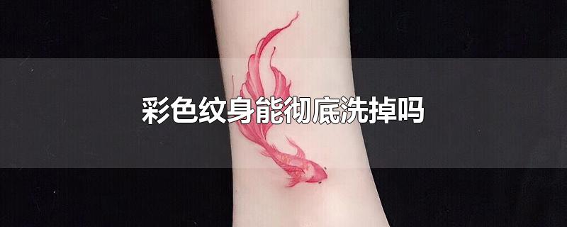 彩色纹身能彻底洗掉吗