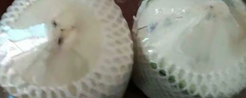 椰青是什么垃圾