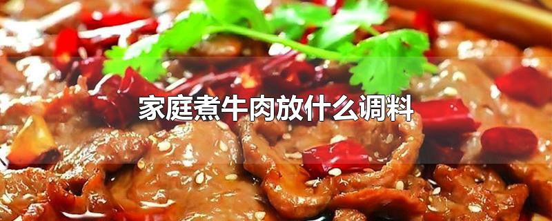 家庭煮牛肉放什么调料