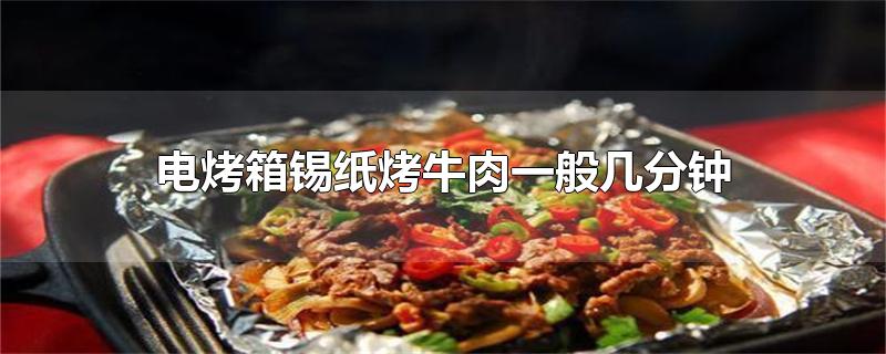 电烤箱锡纸烤牛肉一般几分钟