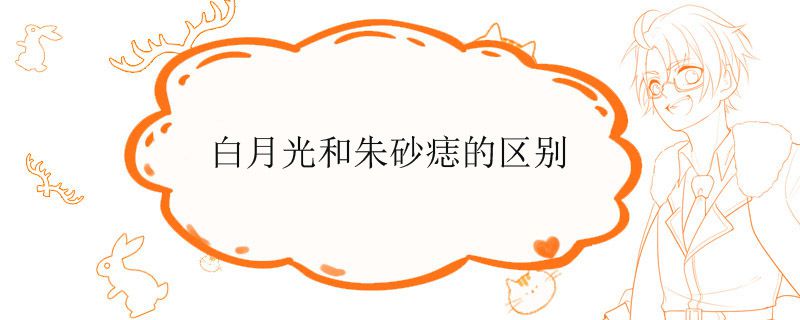 白月光和朱砂痣的区别