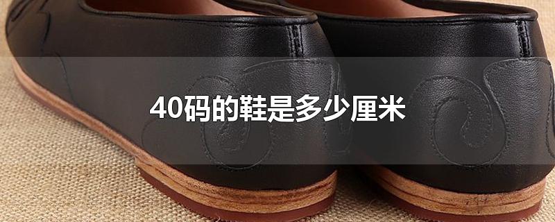 40码的鞋是多少厘米