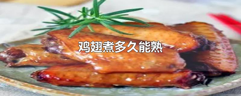 鸡翅煮多久能熟