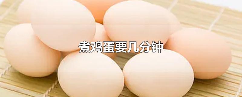 煮鸡蛋要几分钟
