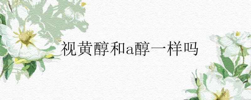 视黄醇和a醇一样吗
